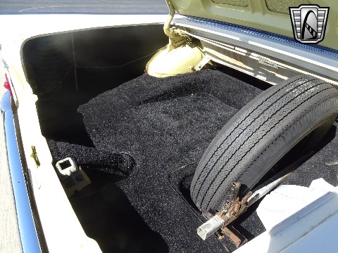 1959 Ford Fairlane 500 image 100