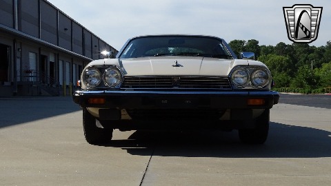 1986 Jaguar XJS image 3