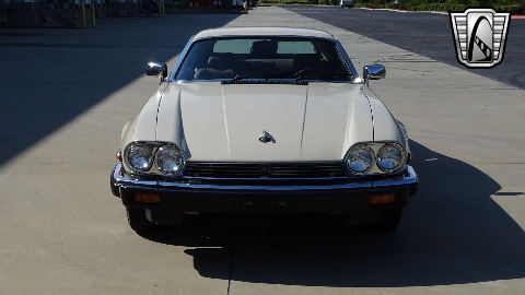 1986 Jaguar XJS image 4