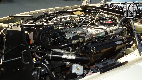 1986 Jaguar XJS image 82