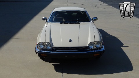 1986 Jaguar XJS image 5