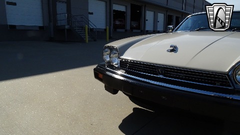1986 Jaguar XJS image 52