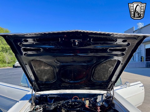 1964 Chevrolet Chevelle image 83