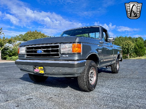 1989 Ford F150 image 41
