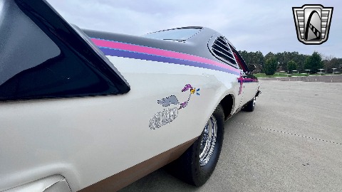 1979 Plymouth Road Runner image 130