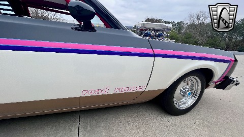 1979 Plymouth Road Runner image 131