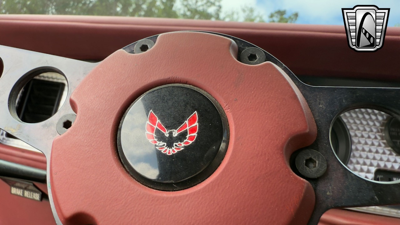 1979 Pontiac Firebird 24