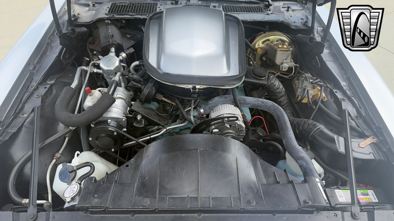 1979 Pontiac Firebird 10