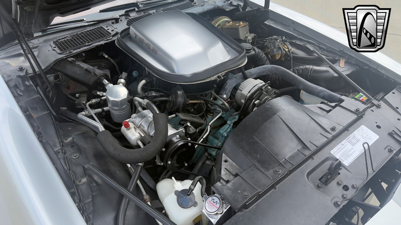 1979 Pontiac Firebird 86