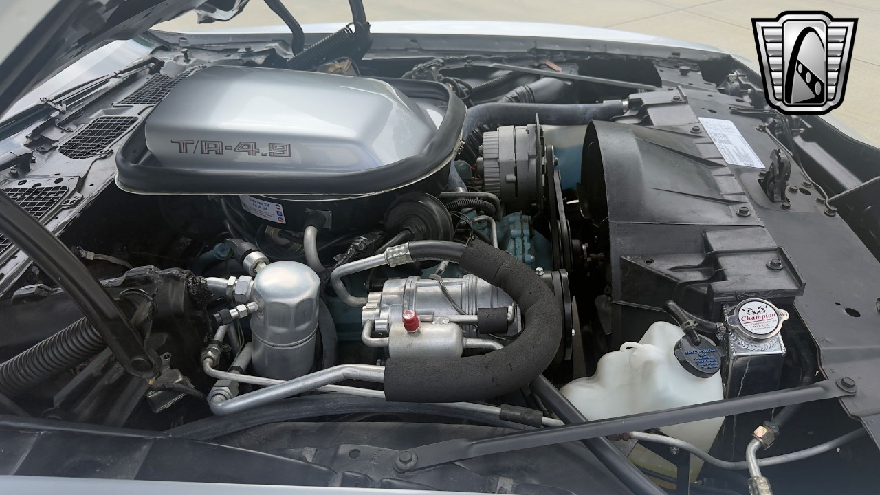 1979 Pontiac Firebird 87