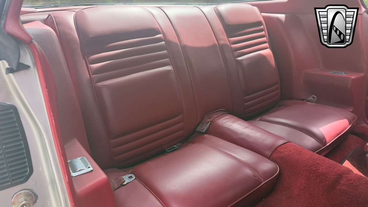 1979 Pontiac Firebird 19