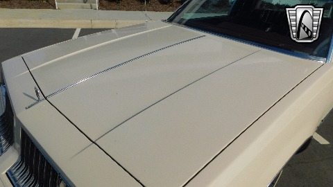 1984 Oldsmobile Cutlass image 52