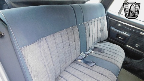 1984 Chevrolet Caprice image 32