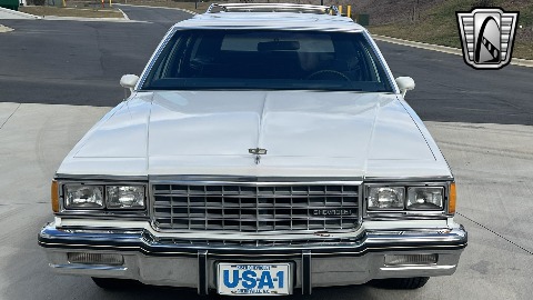 1984 Chevrolet Caprice image 9