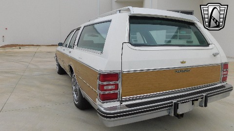 1984 Chevrolet Caprice image 97