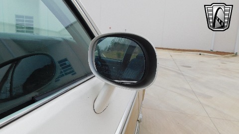 1984 Chevrolet Caprice image 100