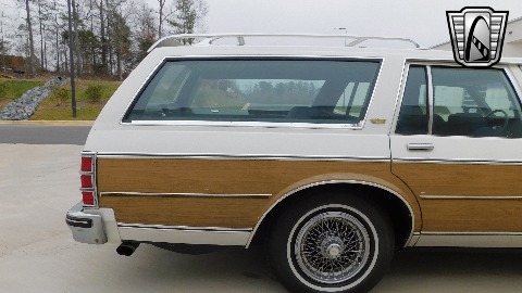 1984 Chevrolet Caprice image 53