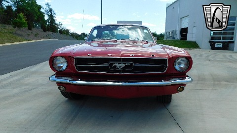 1965 Ford Mustang image 97