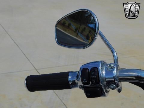 2007 Harley Davidson FLSTCI image 44