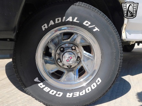 1995 Ford F150 image 43