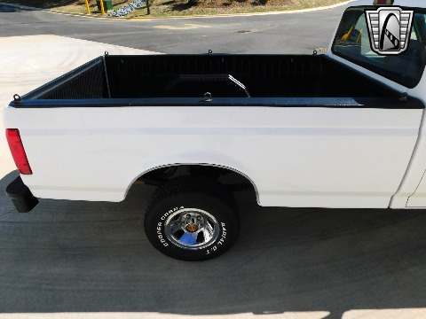1995 Ford F150 image 21