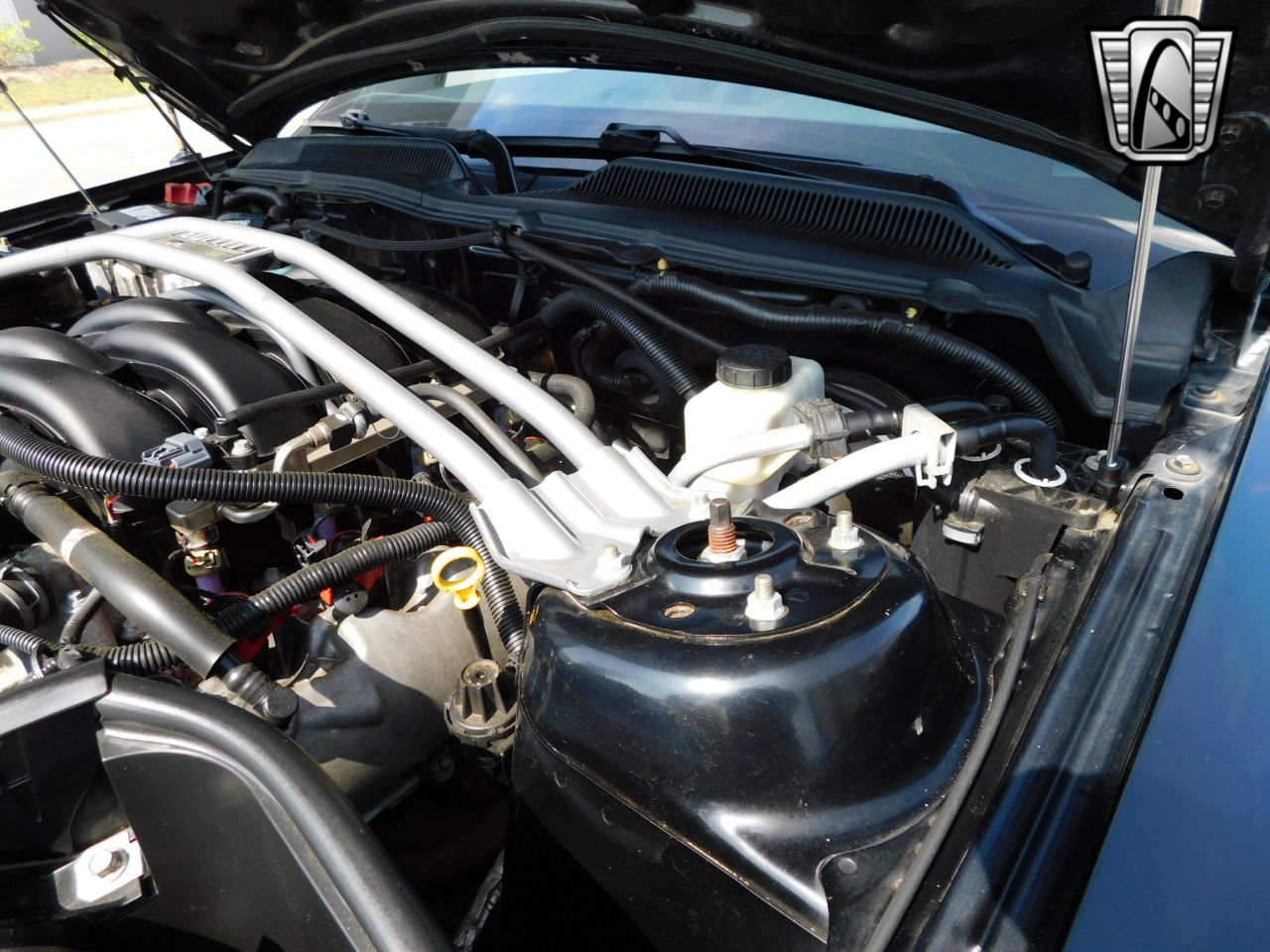 2009 Ford Mustang 71