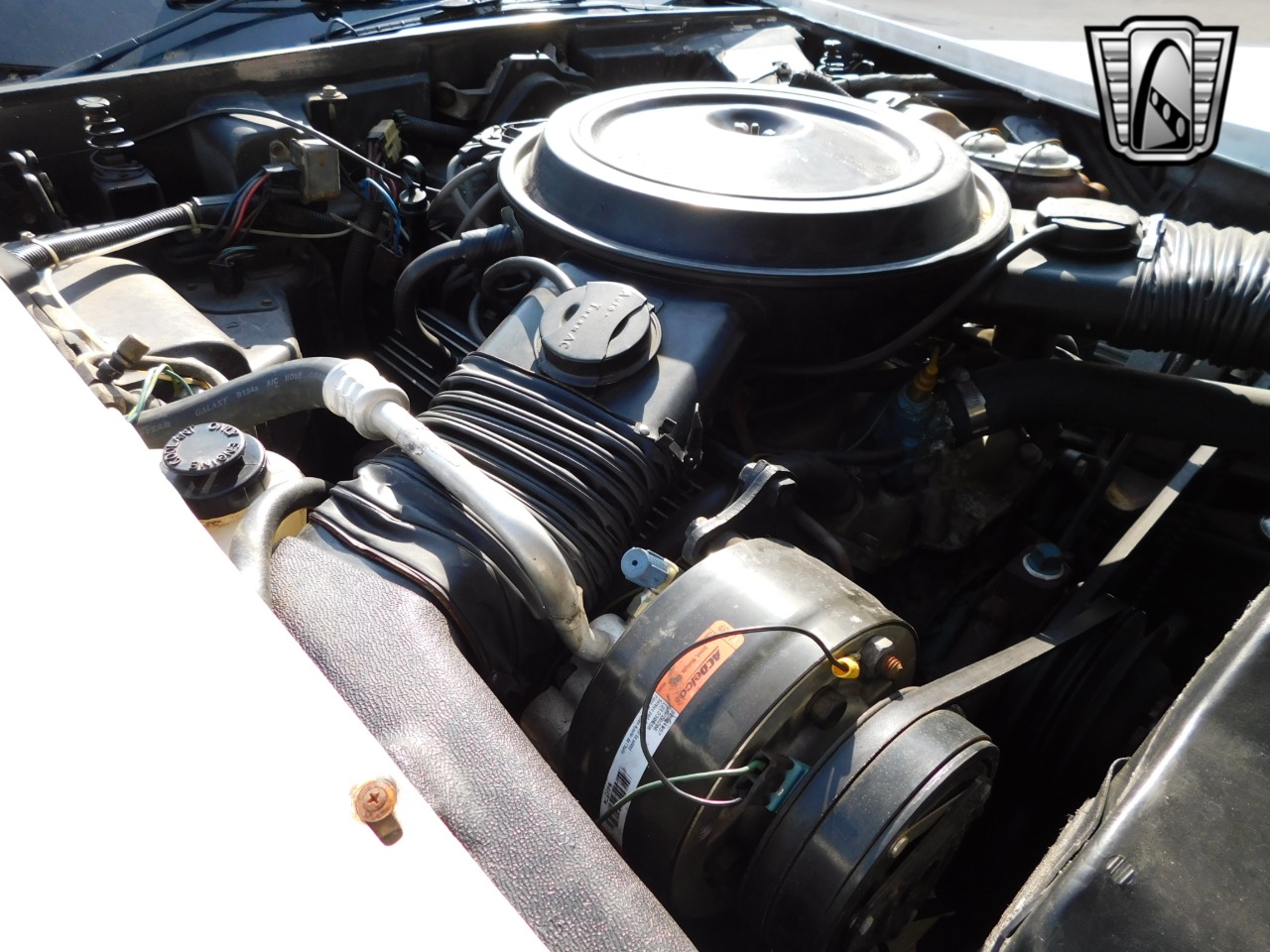 1979 Chevrolet Corvette 68