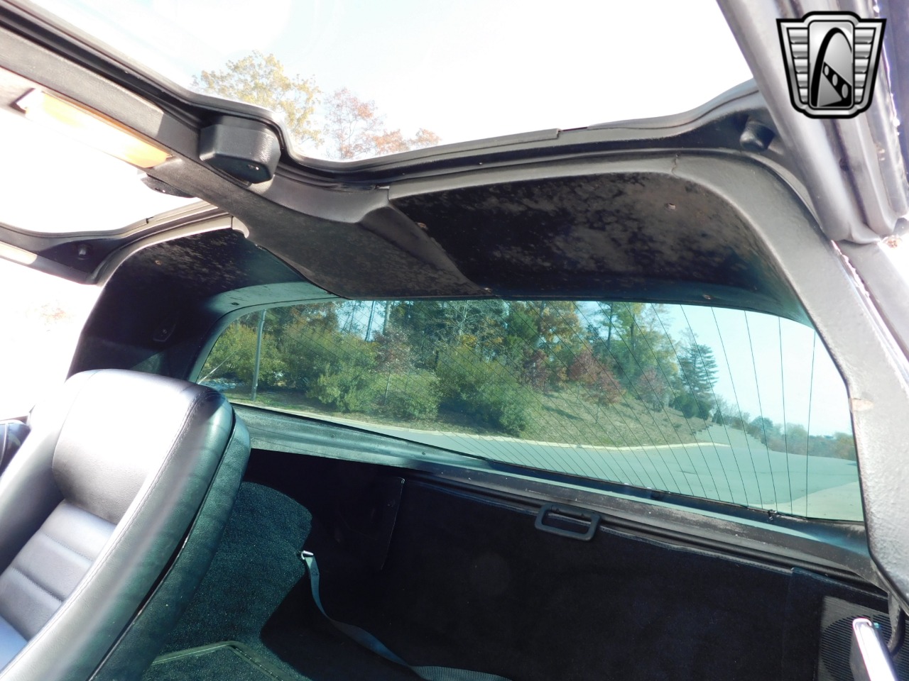 1979 Chevrolet Corvette 23