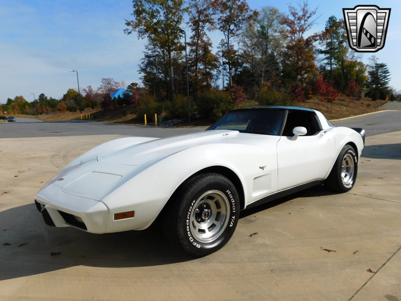 1979 Chevrolet Corvette 4