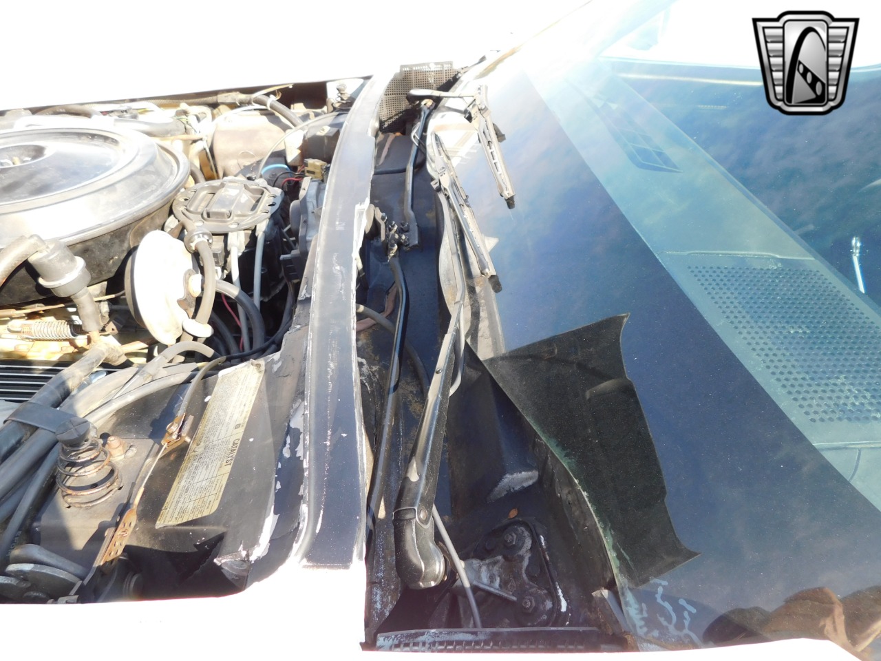 1979 Chevrolet Corvette 75