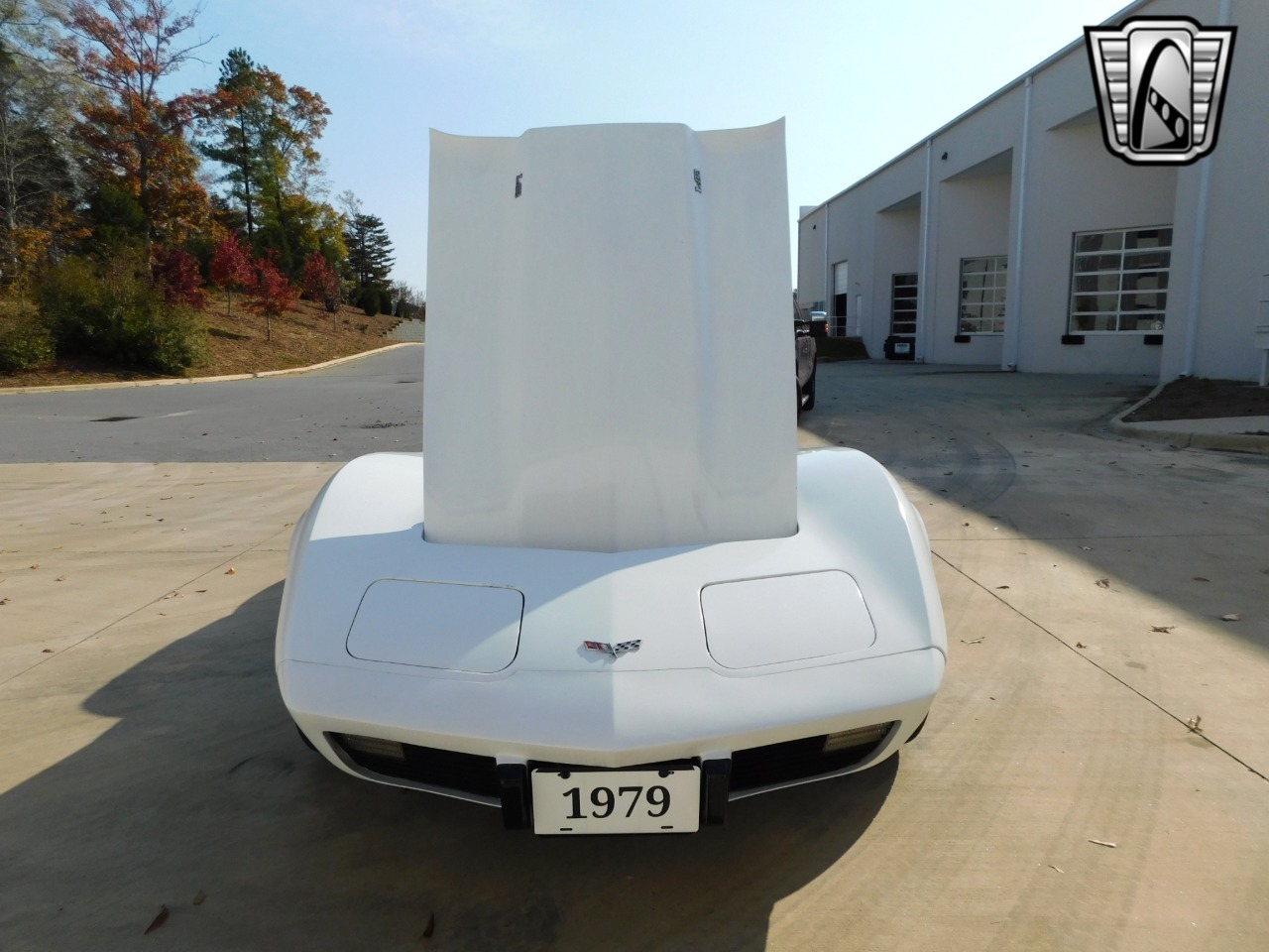 1979 Chevrolet Corvette 66