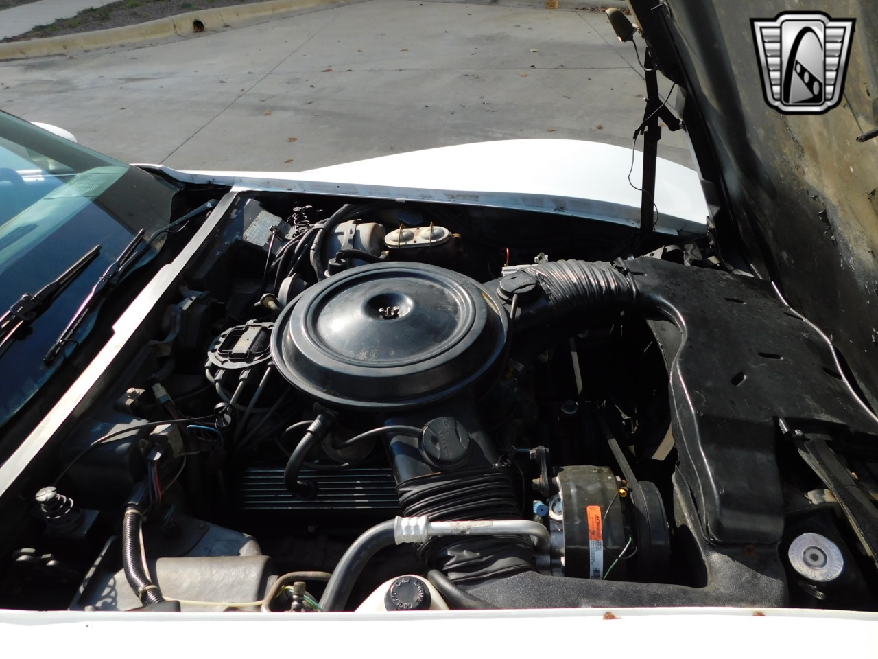 1979 Chevrolet Corvette 17