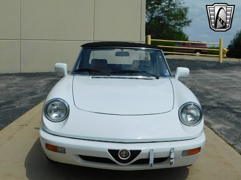 1991 Alfa Romeo Spider image 79
