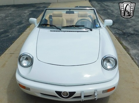1991 Alfa Romeo Spider image 4