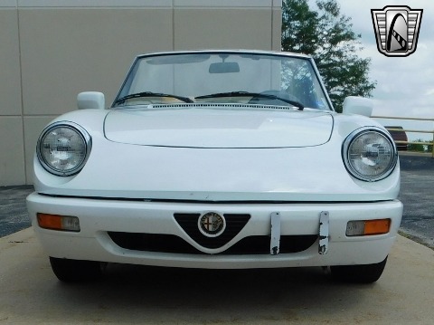 1991 Alfa Romeo Spider image 6