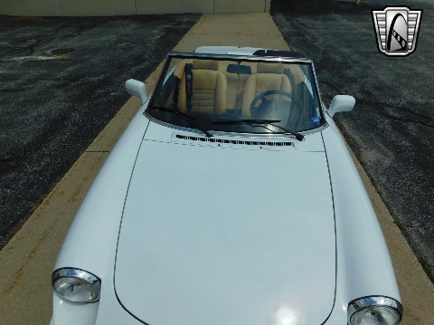 1991 Alfa Romeo Spider image 32