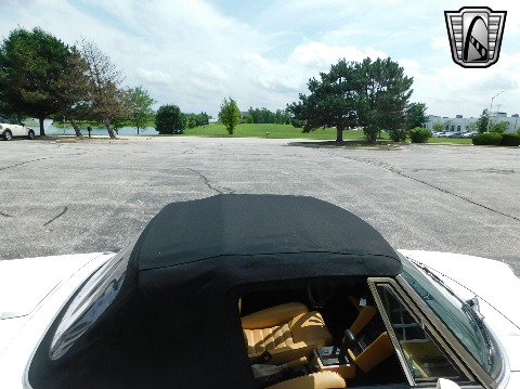 1991 Alfa Romeo Spider image 83