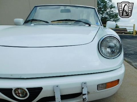 1991 Alfa Romeo Spider image 8