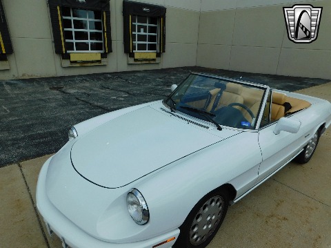 1991 Alfa Romeo Spider image 9