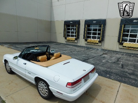 1991 Alfa Romeo Spider image 15