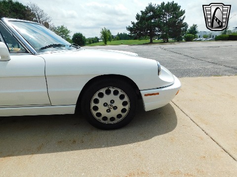 1991 Alfa Romeo Spider image 26
