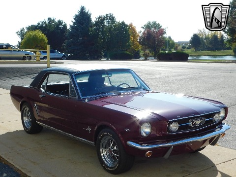 1966 Ford Mustang image 4