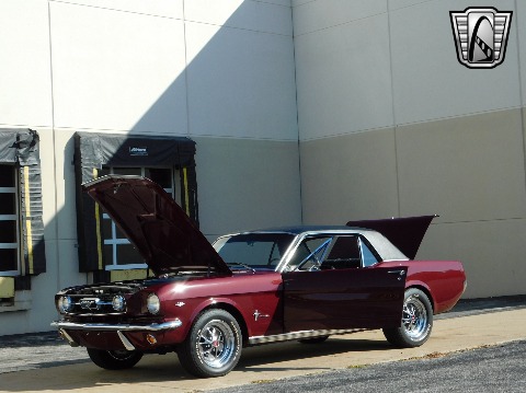 1966 Ford Mustang image 134