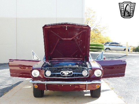 1966 Ford Mustang image 135