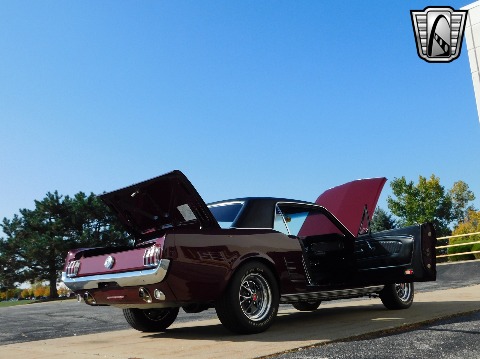 1966 Ford Mustang image 136