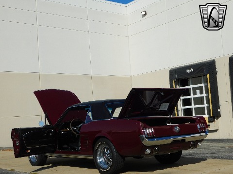 1966 Ford Mustang image 138