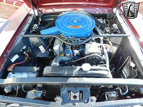 1966 Ford Mustang image 115