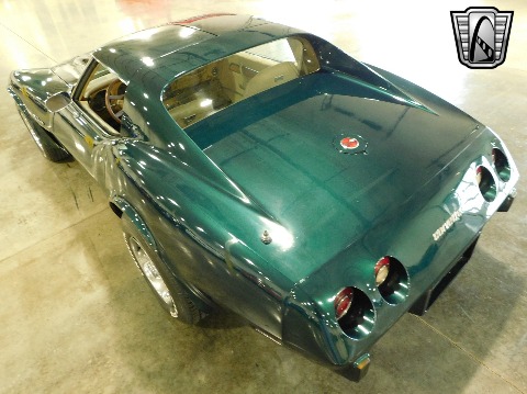 1976 Chevrolet Corvette image 10