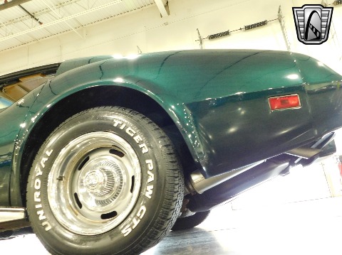 1976 Chevrolet Corvette image 45