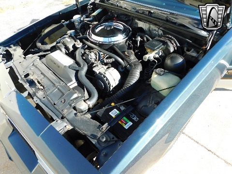 1987 Oldsmobile Cutlass Supreme image 124